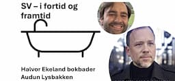 Bokbad med Audun Lysbakken