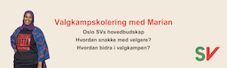 Valgkampskolering