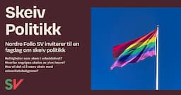 Skeiv Politikk - En fagdag